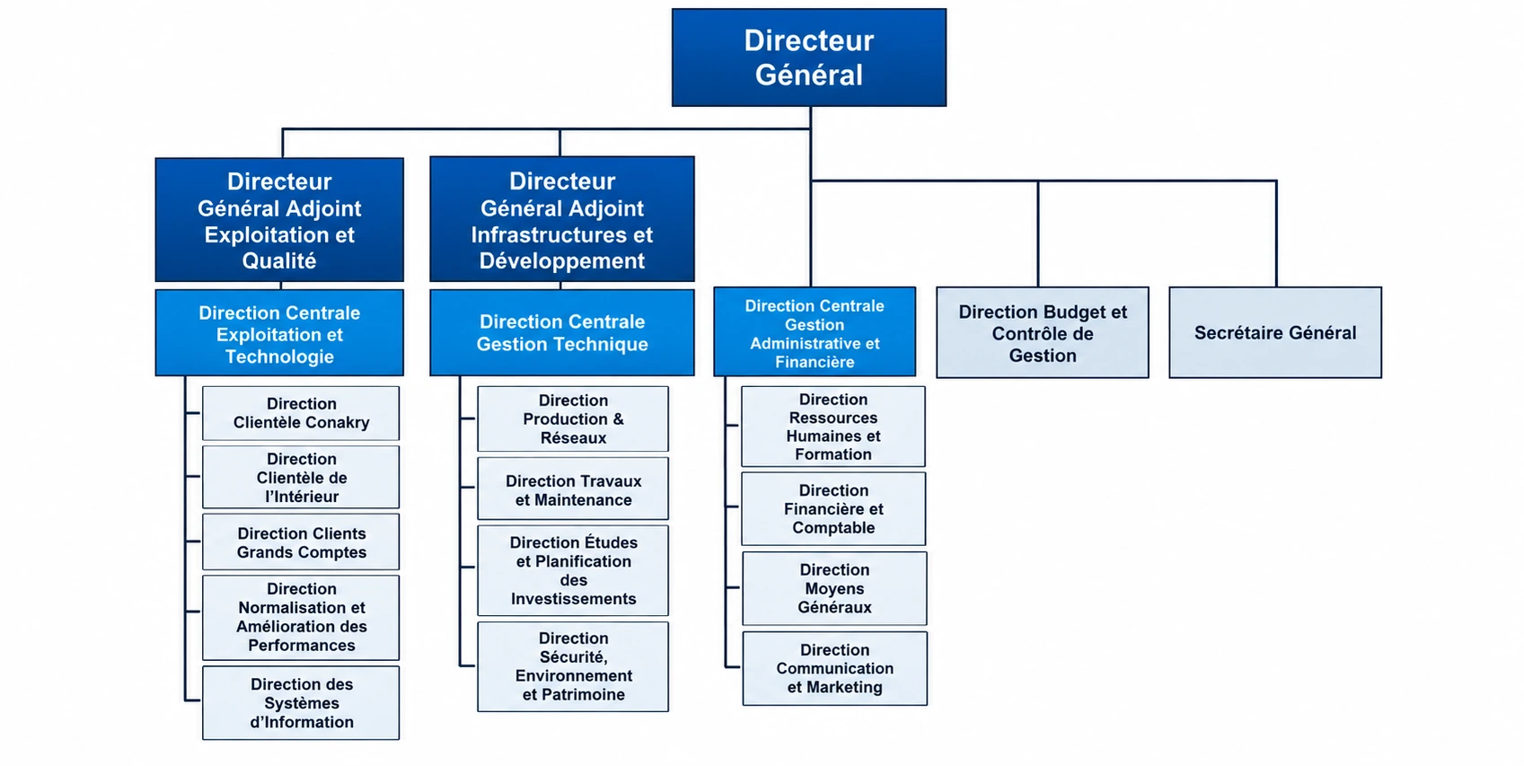 Organigramme de la SEG